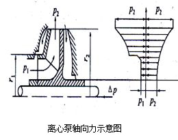 磁力泵均衡轴向力示意图